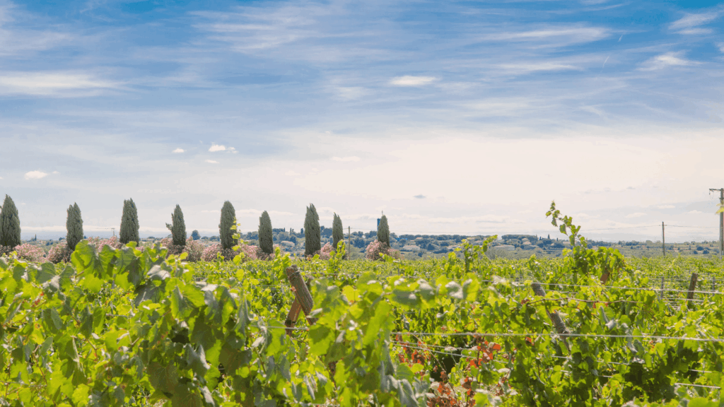 Team building original - Château Hermitage de Combas